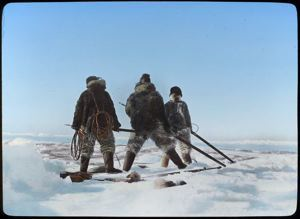 Image of Walrus Hunting at Edge of Ice [Mene, Tong-we and teddy-ling-wah at lead off Peteravik] [Minik, Tornge and Talilanguaq]